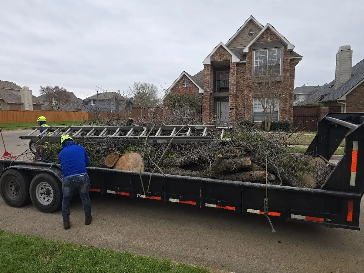 Expert Tree Fertilization with proper safety equipment in Delavan